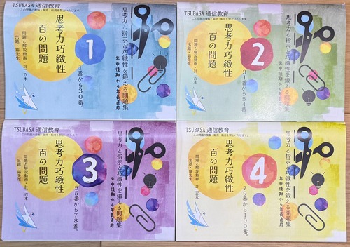 思考力を伴う巧緻性100：プチリニューアル‼️