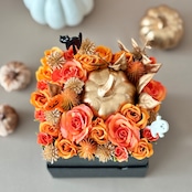 ポティロンの箱庭 | Potiron’s Miniature Garden