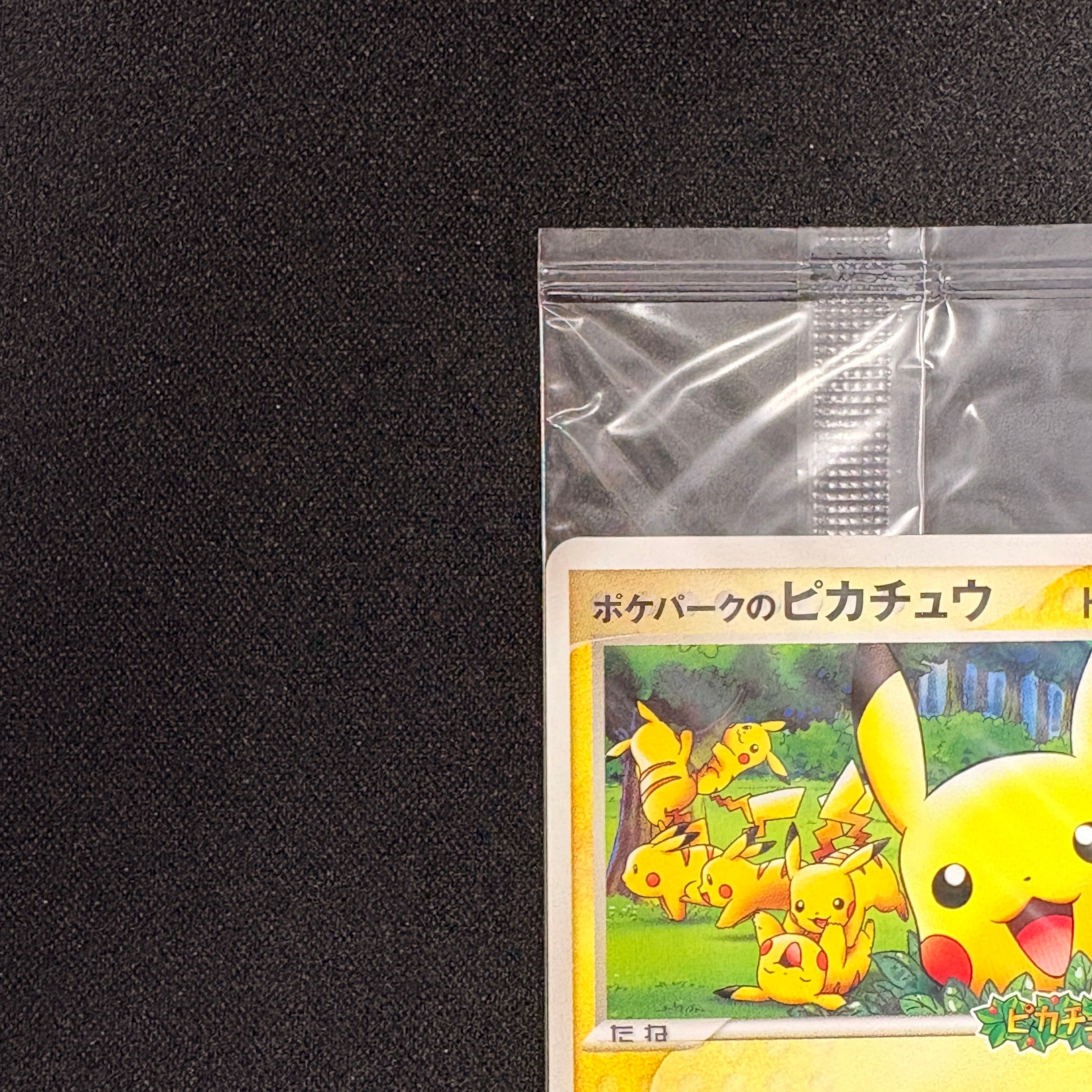 ポケパークのピカチュウ 未開封 043/PCG-P | カードショップ 買う買う王国