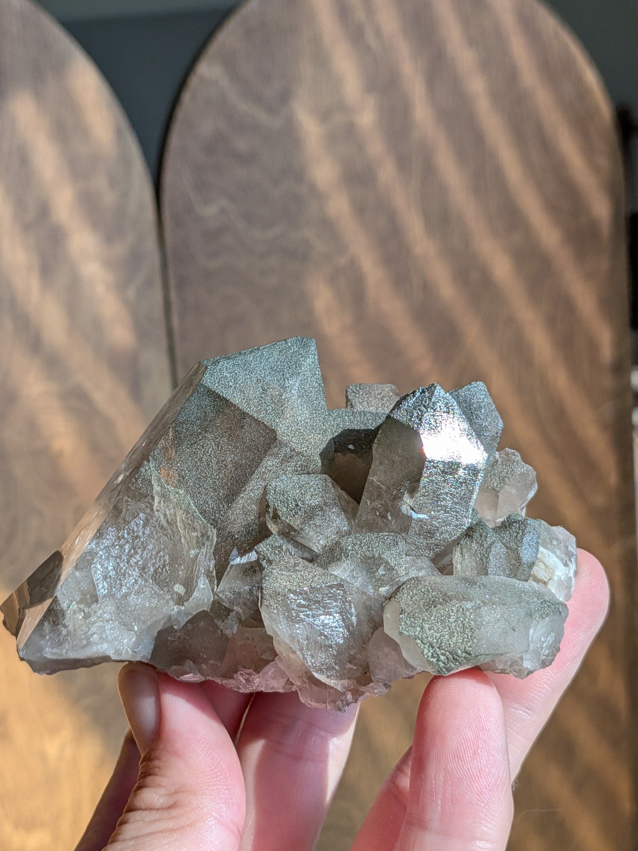 アルプス水晶・スモーキークォーツ（クローライト共生） ⭓ クラスター原石 ⭔ スイス・ウーリ州産