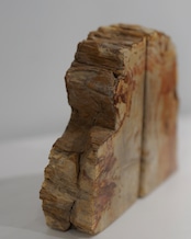 OAK Petrified Wood - Book End #008 ：Natural｜珪化木／Barkエッジ／一点もの