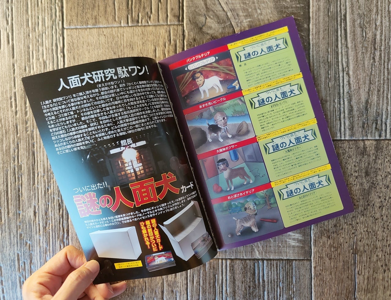 人面犬 研究駄ワン！ ／ とも駄珍子 館長 | NutsBookStand
