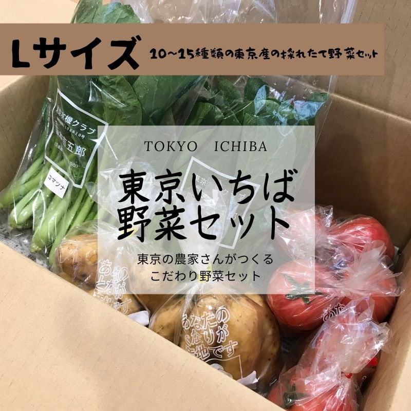 畑からまっしぐら！東京の農家さんこだわりの「採れたて東京野菜セット」【L　サイズ（12～14品前後）】　東京いちば