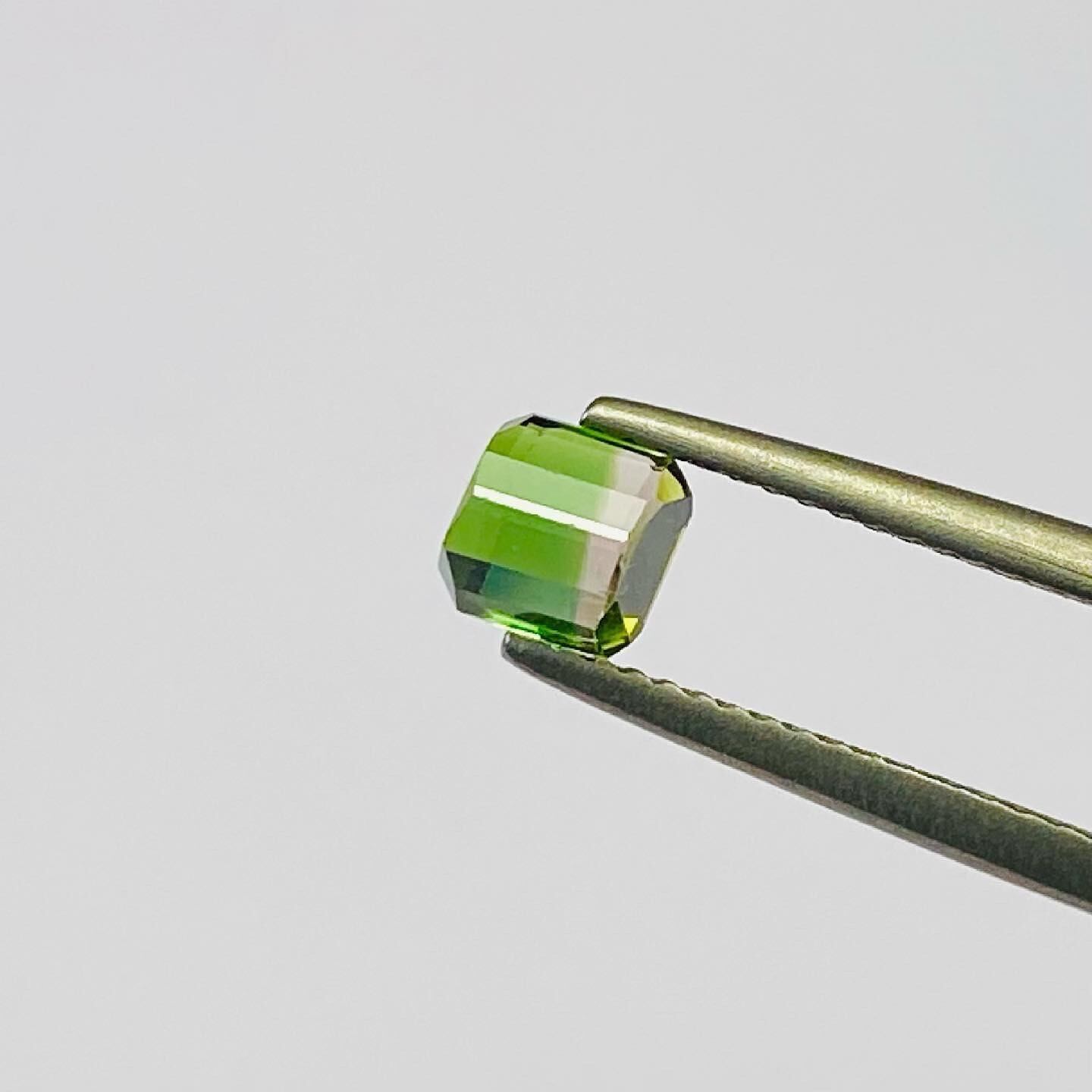 竹林バイカラートルマリン