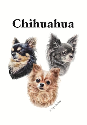 gray original Dog face &breed printed S/S TEE［Chihuahua］