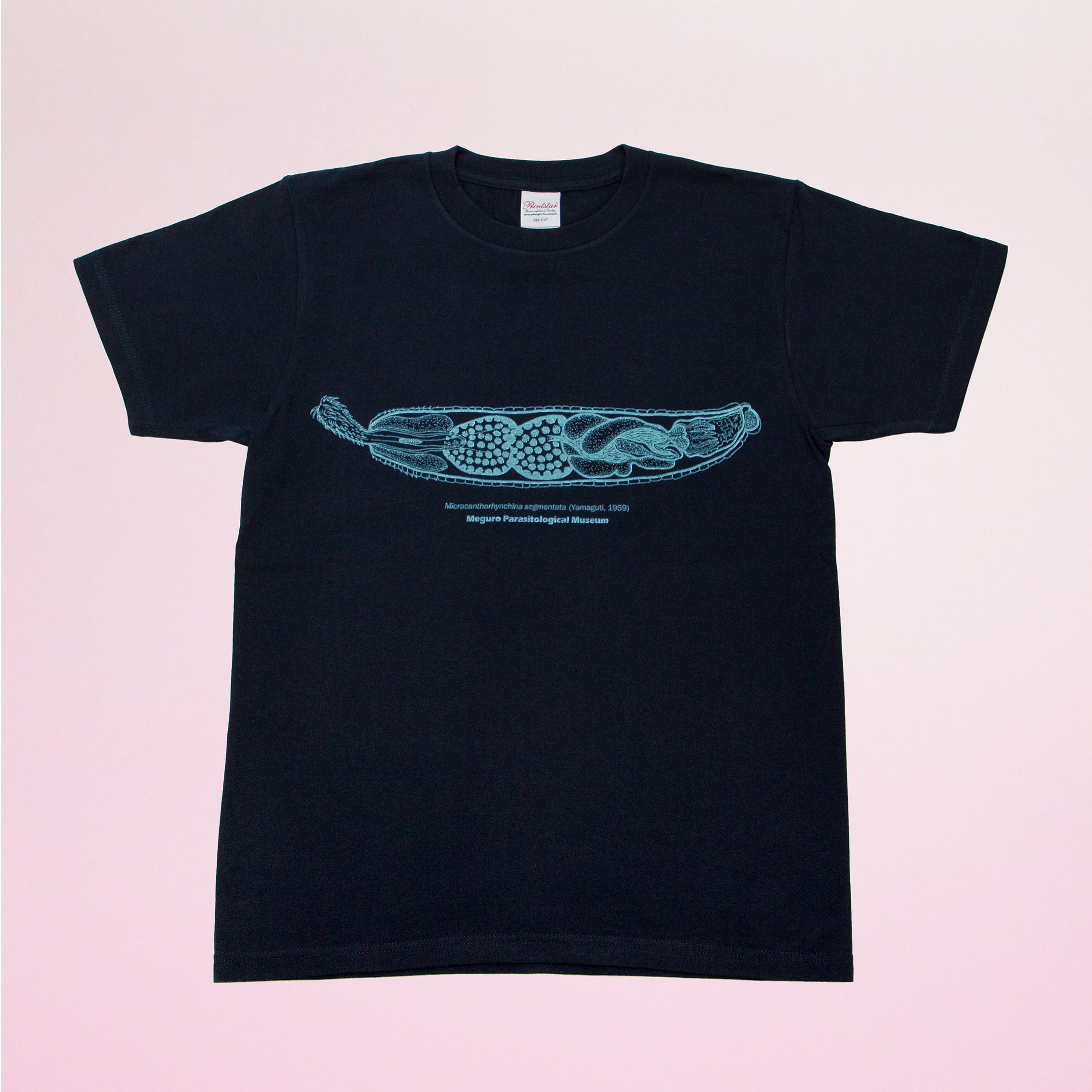 立体サナダムシ Tシャツ | 目黒寄生虫館オリジナルグッズ オンライン