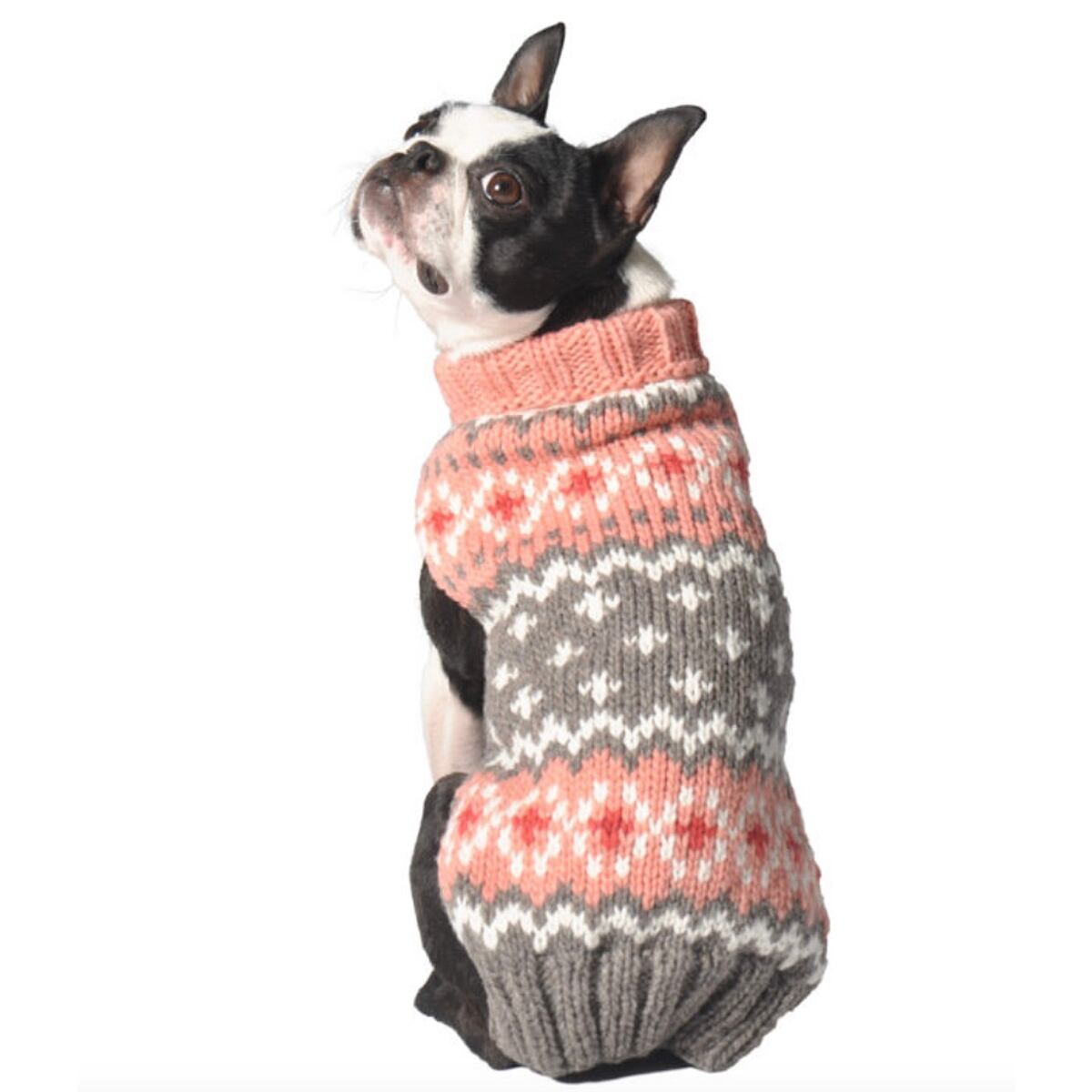 CHILLY DOG チリードッグ | PERRO online shop