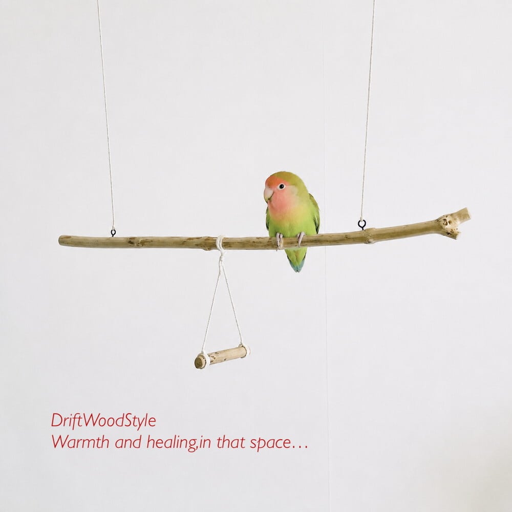 流木インテリア専門 DriftWoodStyle