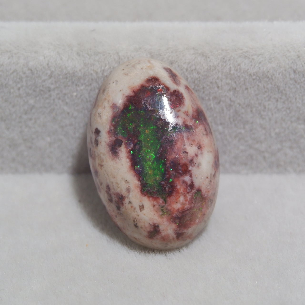 カンテラオパール | 洋灯舎