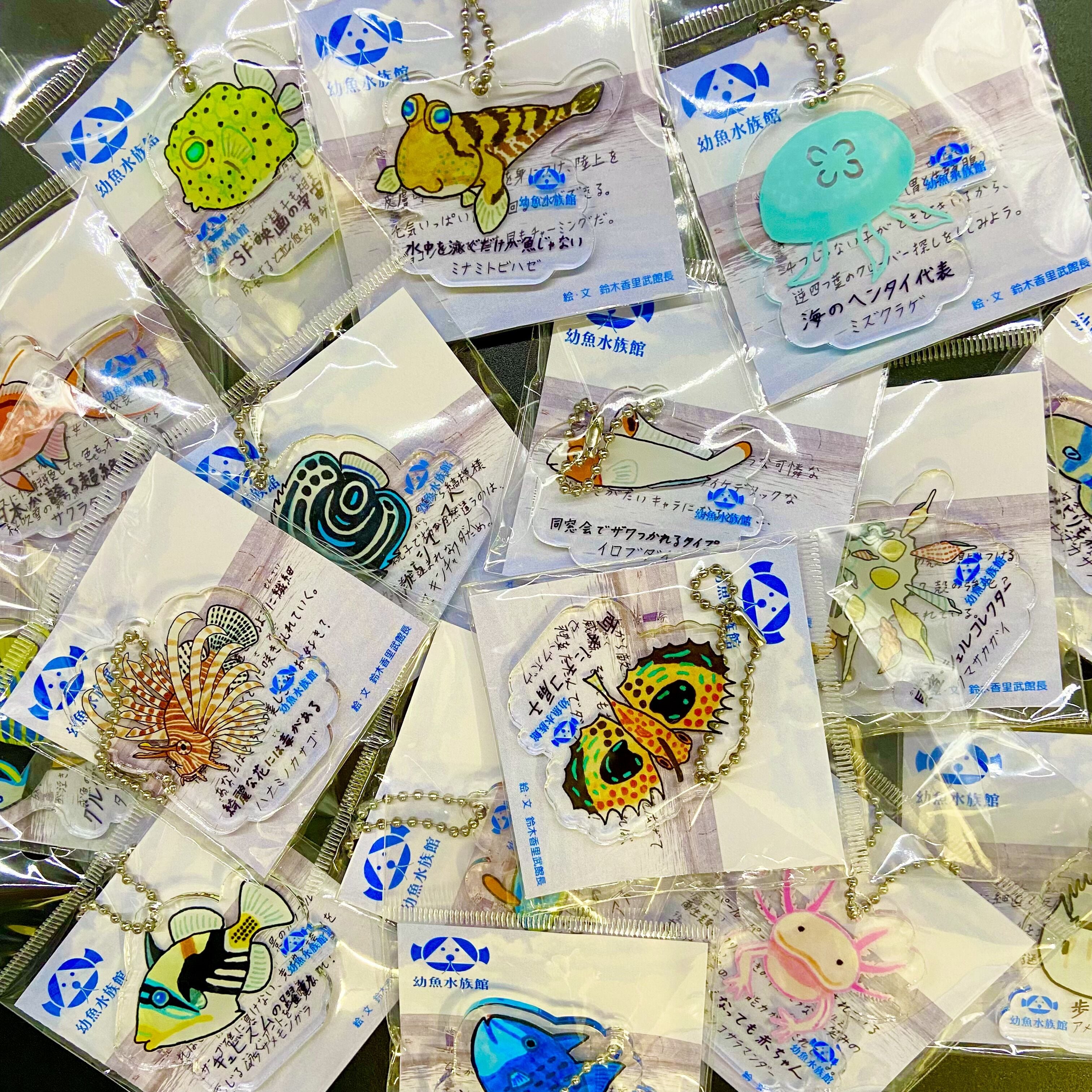 全125種】オリジナル魚名板アクリルキーホルダー | 幼魚屋オンライン