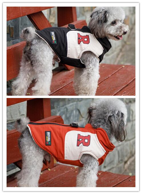 おすすめ☞《予約》№1101787 ロイヤルレーシングウェア