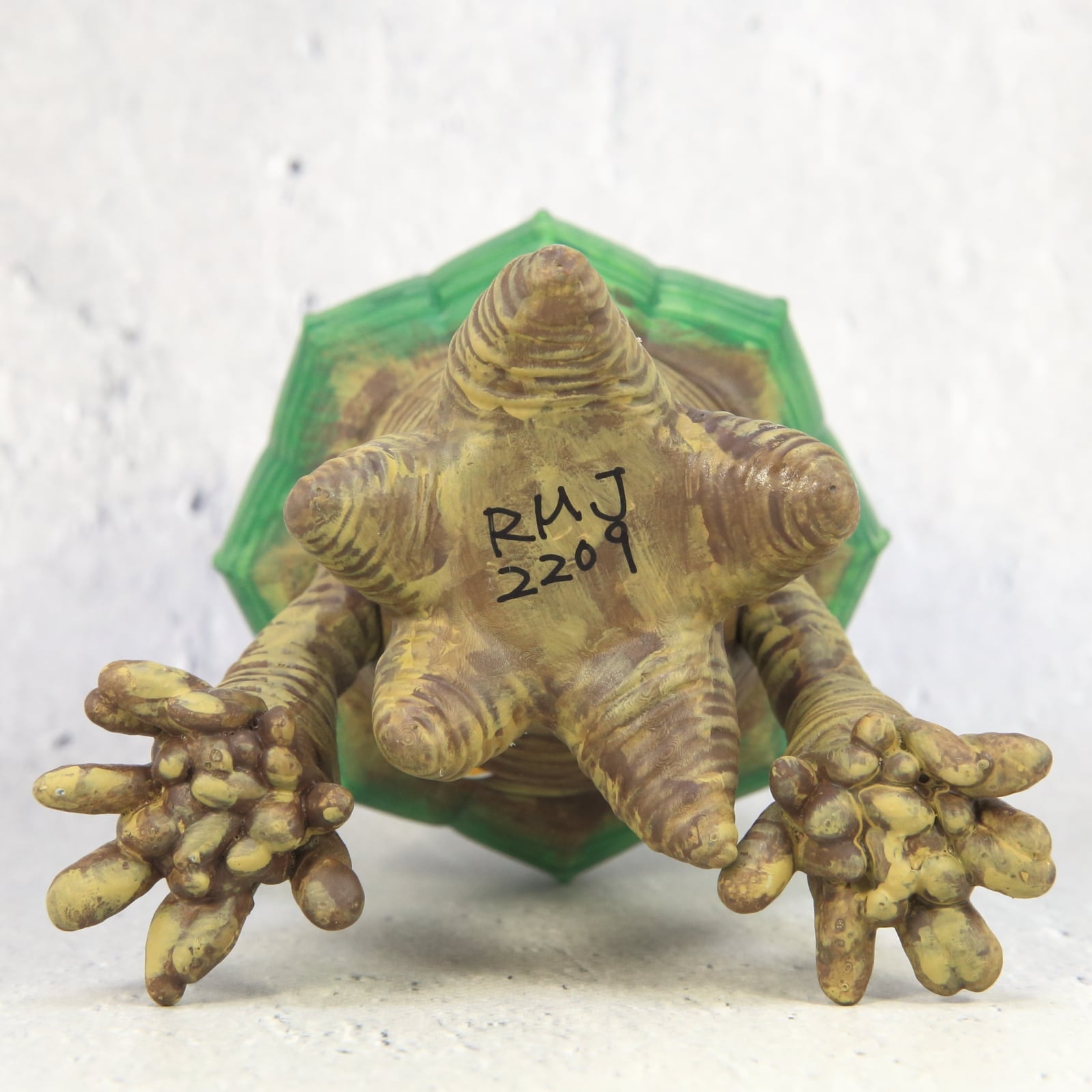 ROOT MONSTER EUPHORBIA OBESA - ルートモンスターオベサ