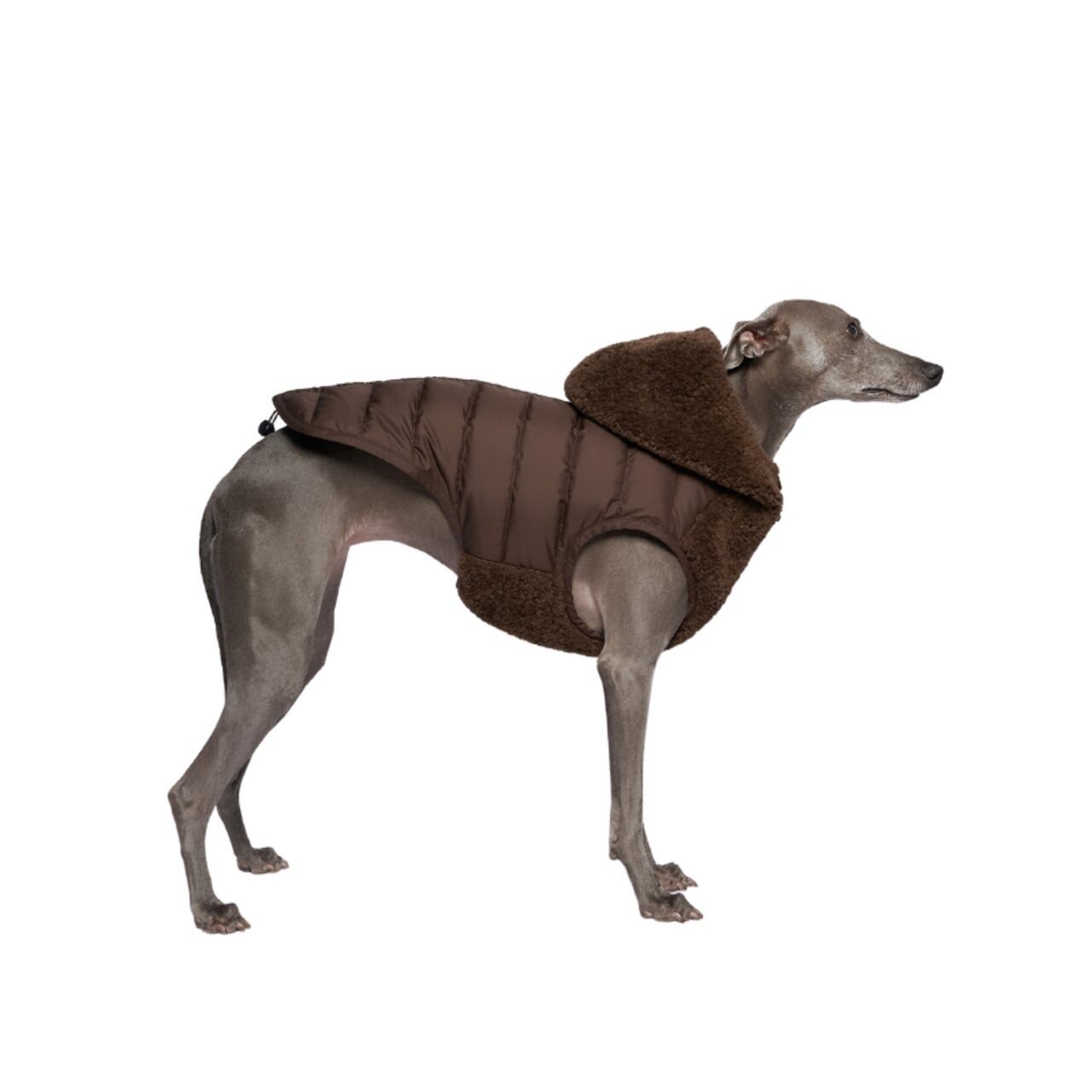 BONDIR SAND ハンズフリー 犬用リード | Le Cielドッグアイテムショップ