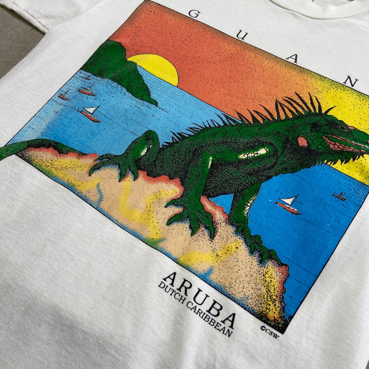 90年代 USA製 IGUANA イグアナ アニマルプリントTシャツ アート メンズ 