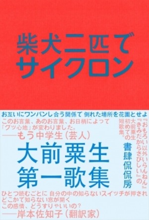 柴犬二匹でサイクロン