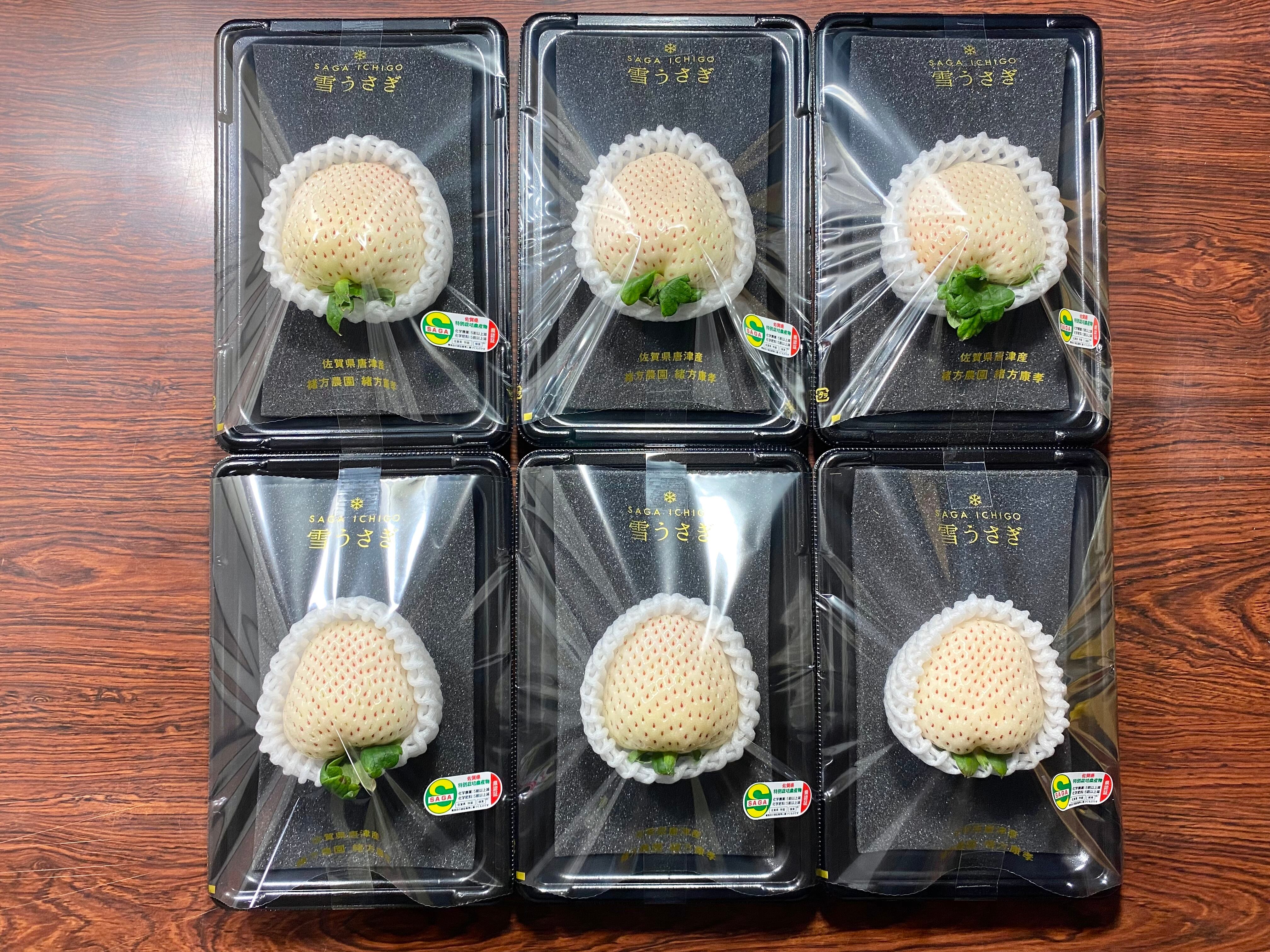 雪うさぎ プレミアム(55g以上) 1パック | Ogatafarm