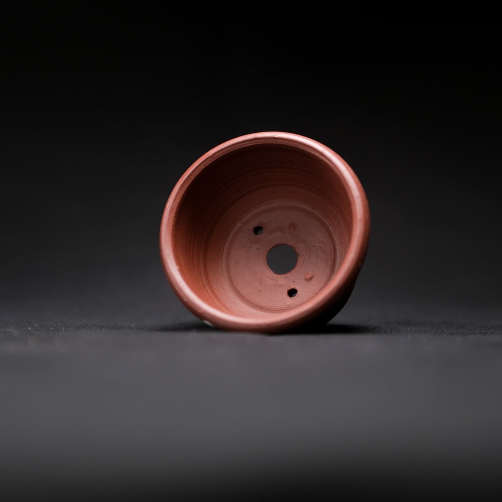 魂抜けた魚【Q鉢】 | bonsaiQ store