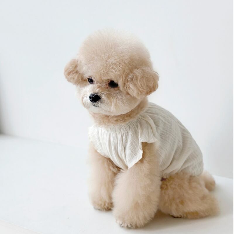 〈即納アイテム〉 EYOU ピュアロマンティックワンピース(アイボリー)