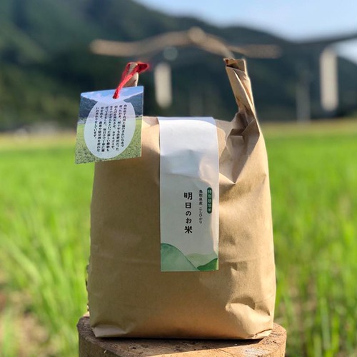 新米 令和5年(2023年) 【特別栽培米コシヒカリ】(5kg)