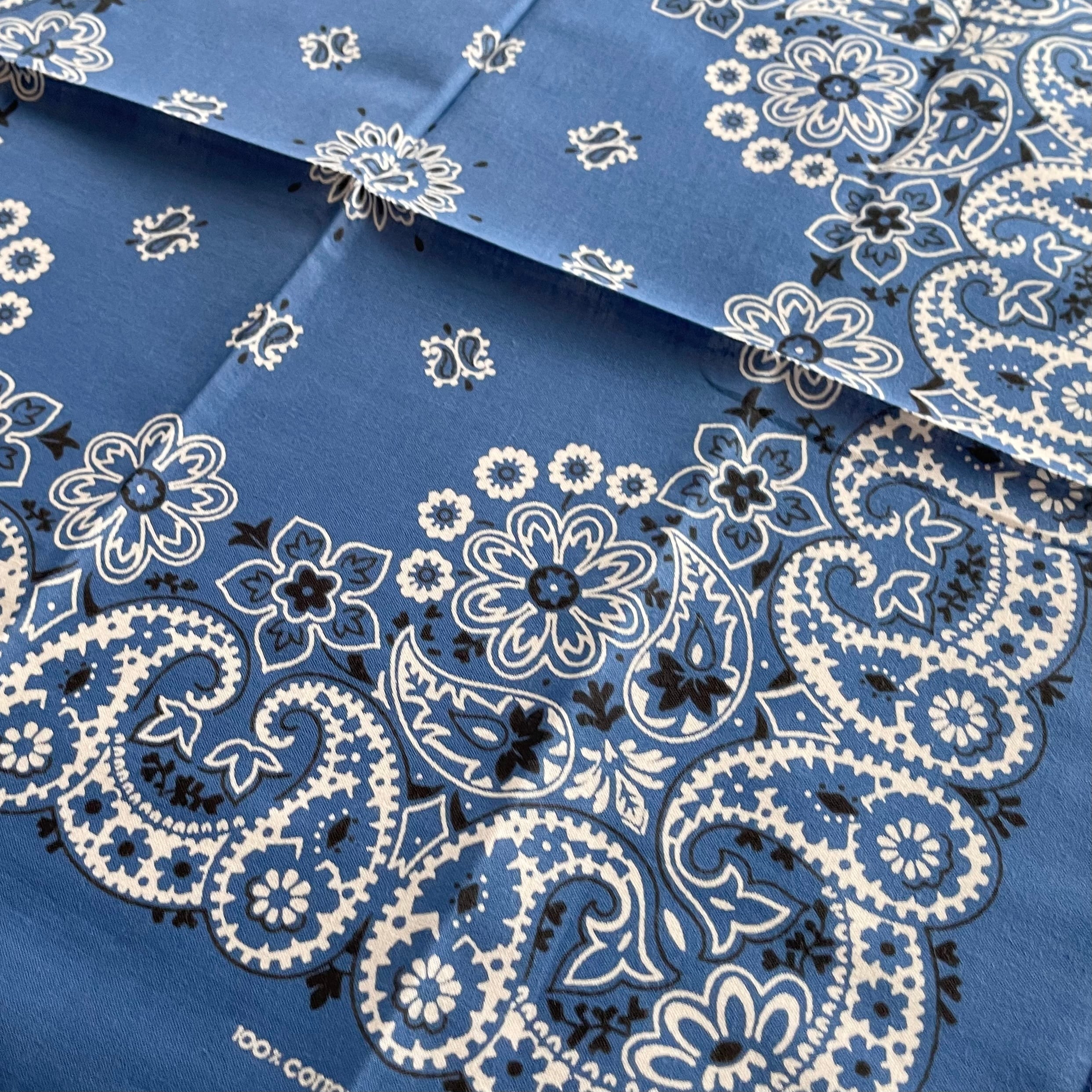 Deadstock】RN15187 PAISLEY ヴィンテージバンダナ ① | swallows