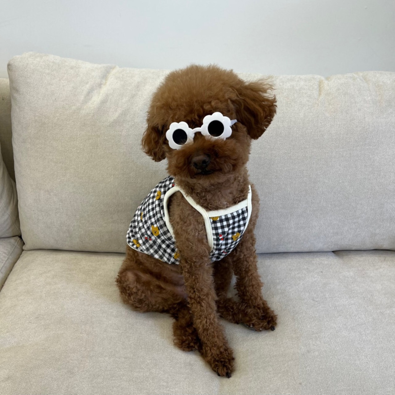 予約【pecoramou select】チェックベアーTシャツ