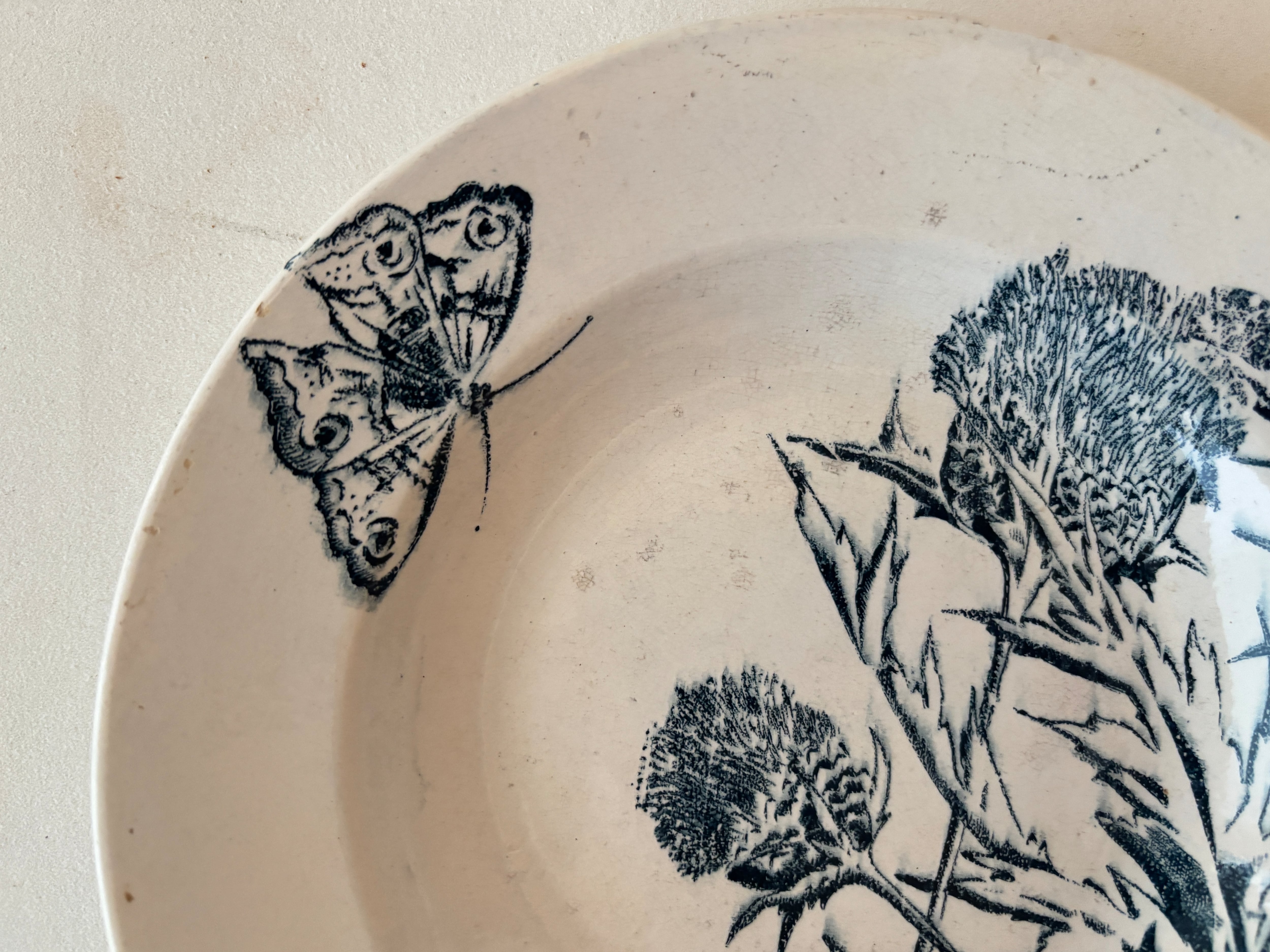 1点限定】フランスアンティーク CHARDON アザミと蝶のスーププレート