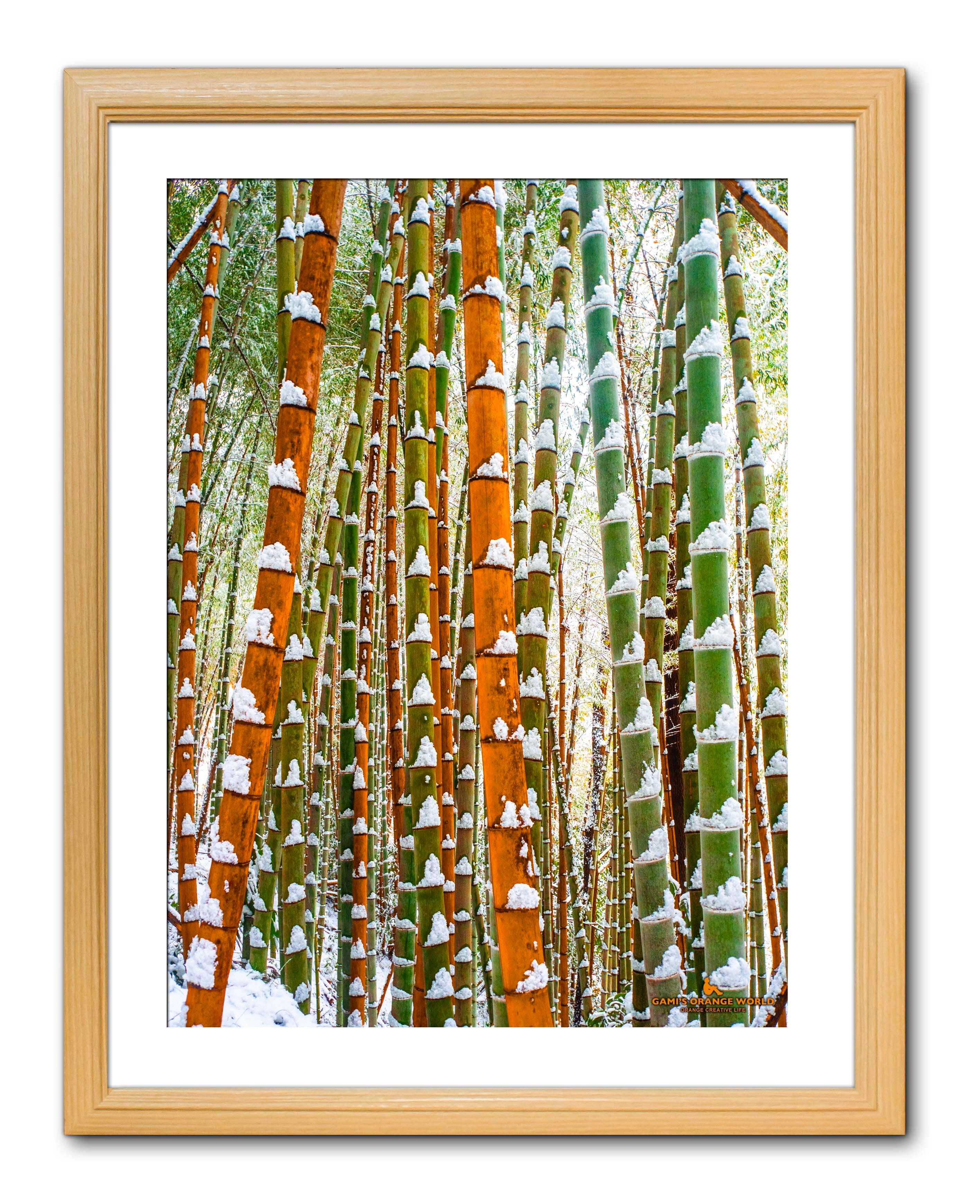 アート写真【A3サイズ】ORANGE JOURNEY（オレンジの旅）木製額