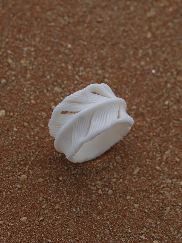 ring (#27G) _ 010