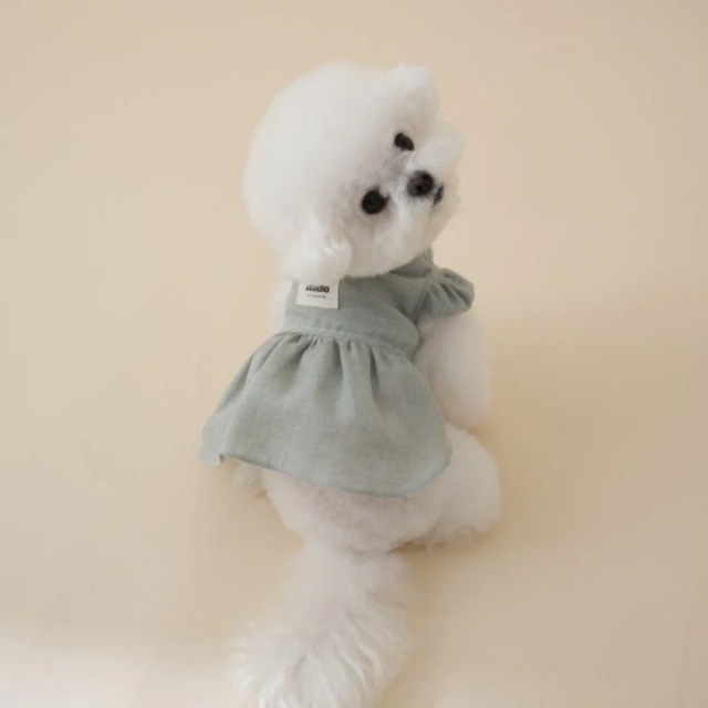 【即納 / 一部予約】Pure Linen Dress｜Mint