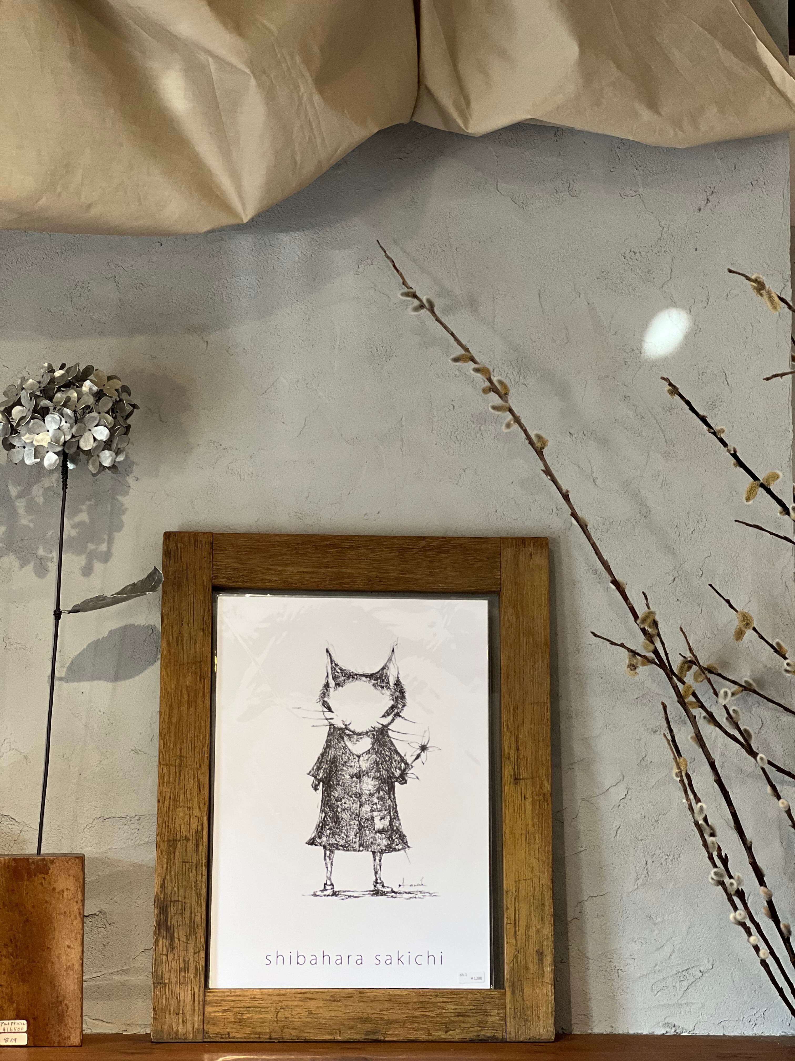 柴原 幸智 イラスト A4サイズ | teshigotoya ねむの木の豆