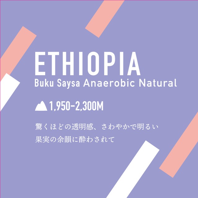 ETHIOPIA BUKU SAYSA Anaerobic Natural