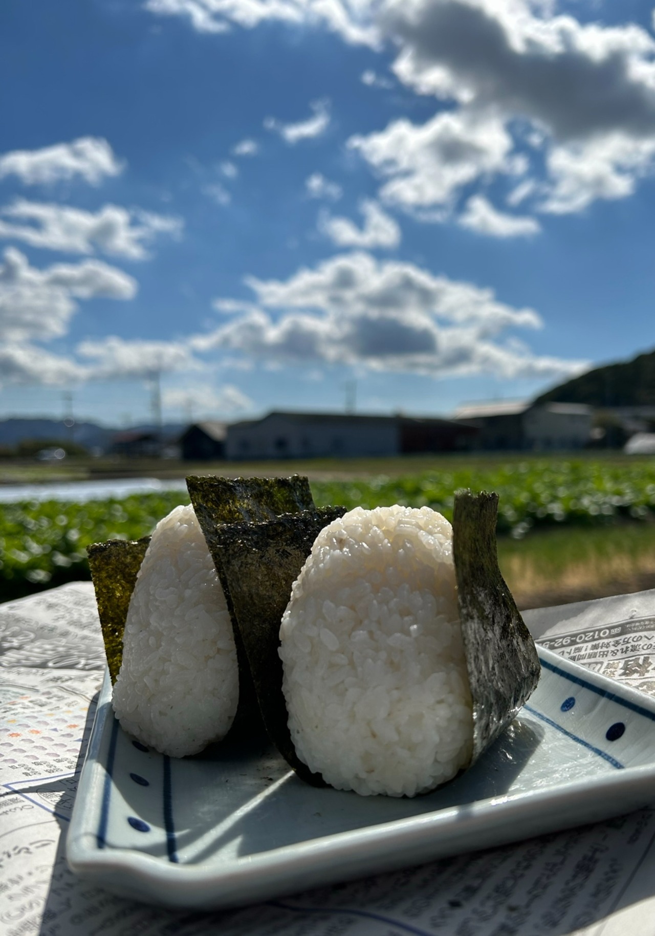 【定期便】ヒノヒカリ5kg