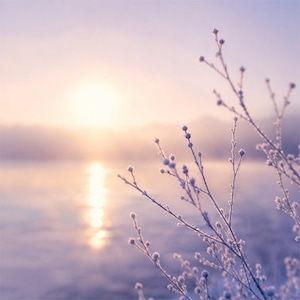 1月限定｜暁 — AUBE