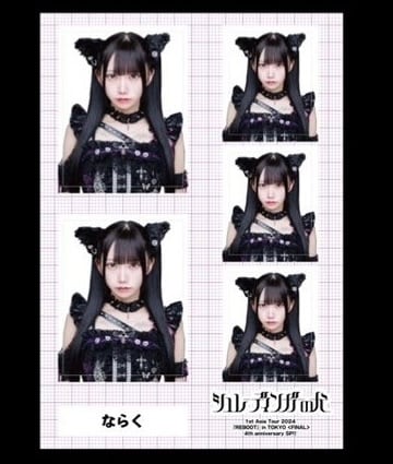 シンデレラの犬 Project オンラインショップ