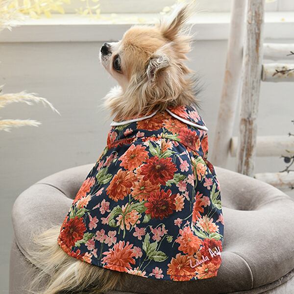 2023秋冬 LAURA ASHLEY（ローラアシュレイ）ダブル襟ワンピース | BowHOUSE