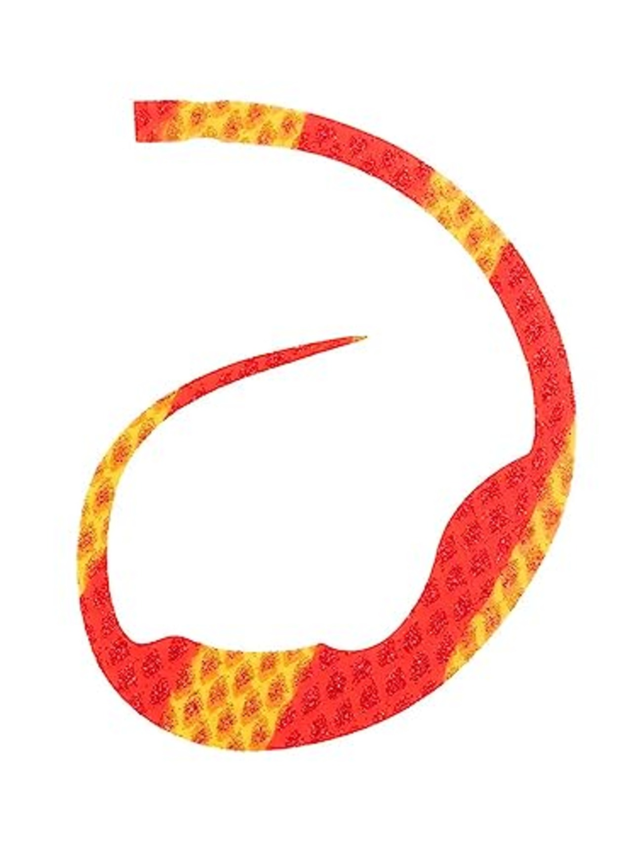 スタート(Start) シリコンネクタイ マジカーリー #28 シマエビレッドSK