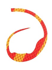 スタート(Start) シリコンネクタイ マジカーリー #28 シマエビレッドSK