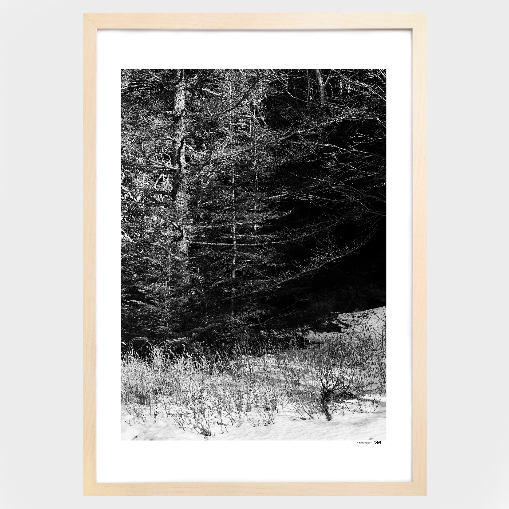 Winter Forest ] | おしゃれなアートポスターはここ！ULMUS