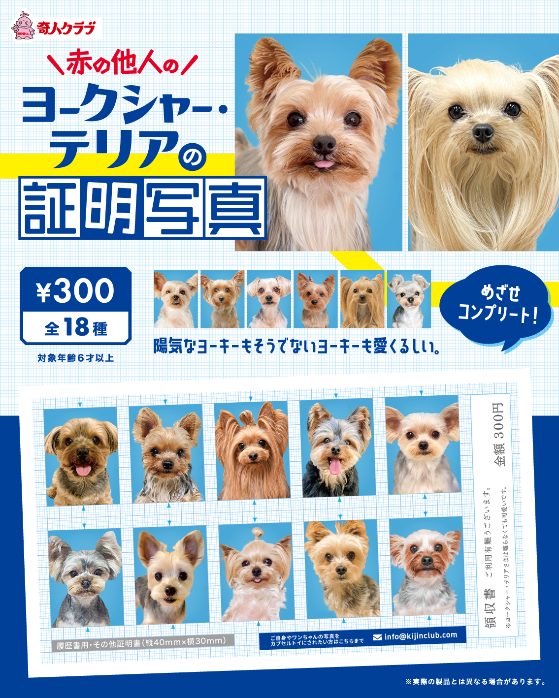 43b568894918a50e84ed7d0461e4e6