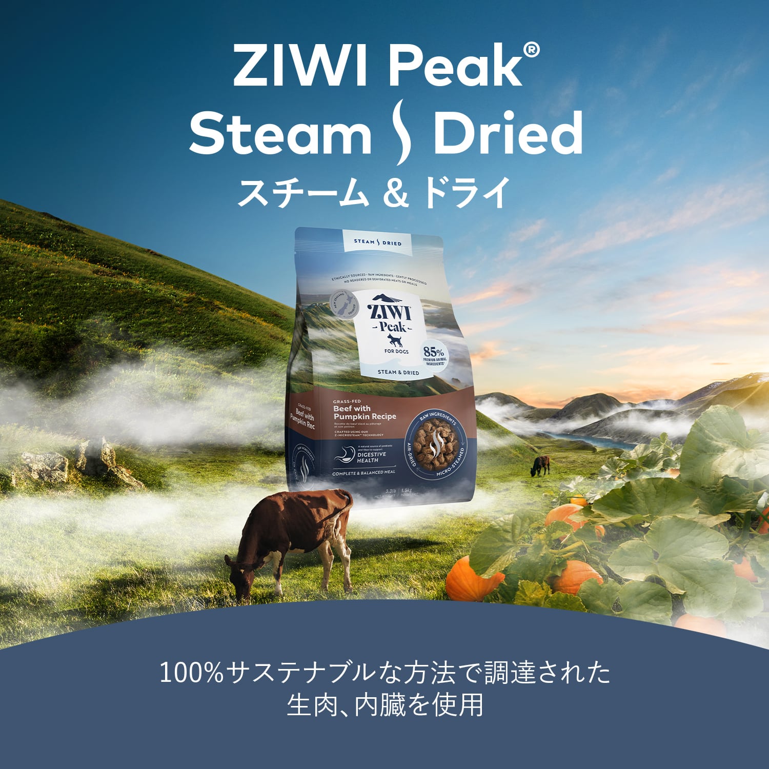 お試し】ZIWI Peak サンプル 30g×6袋 スチーム＆ドライ