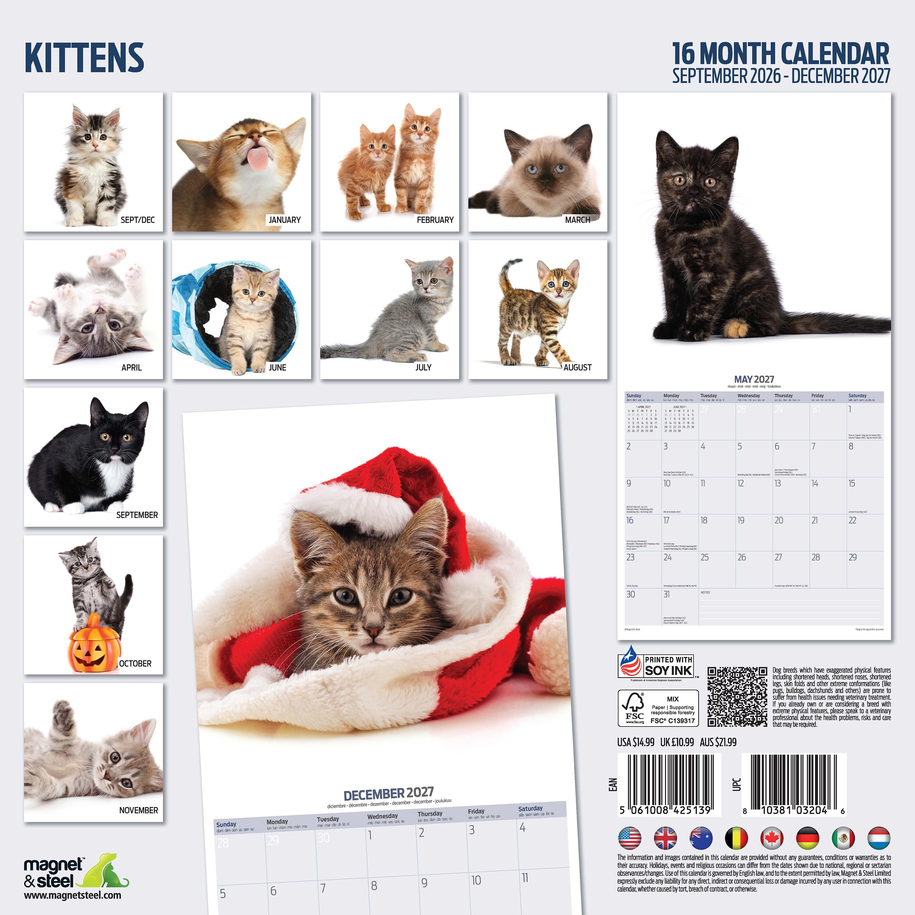 【2027年版】英国製カレンダー【Kittens】modern 2027年版