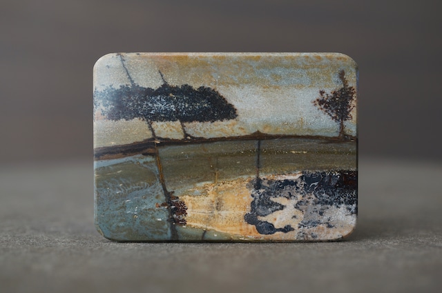 チェリークリーク・ジャスパー Cherry Creek Jasper 2215