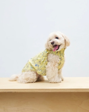 Colorful Daily　lemon yellow