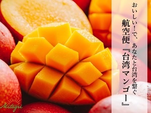 【完売御礼】【Mitagri】台湾マンゴー（5kg 10～14玉）（送料込）