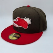 NEW ERA 59FIFTY/5950 フィラデルフィア・フィリーズ 100th 海外入荷