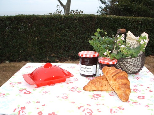 english vintage butter case dot  イギリス　ヴィンテージ　バターケース　どっと柄　赤