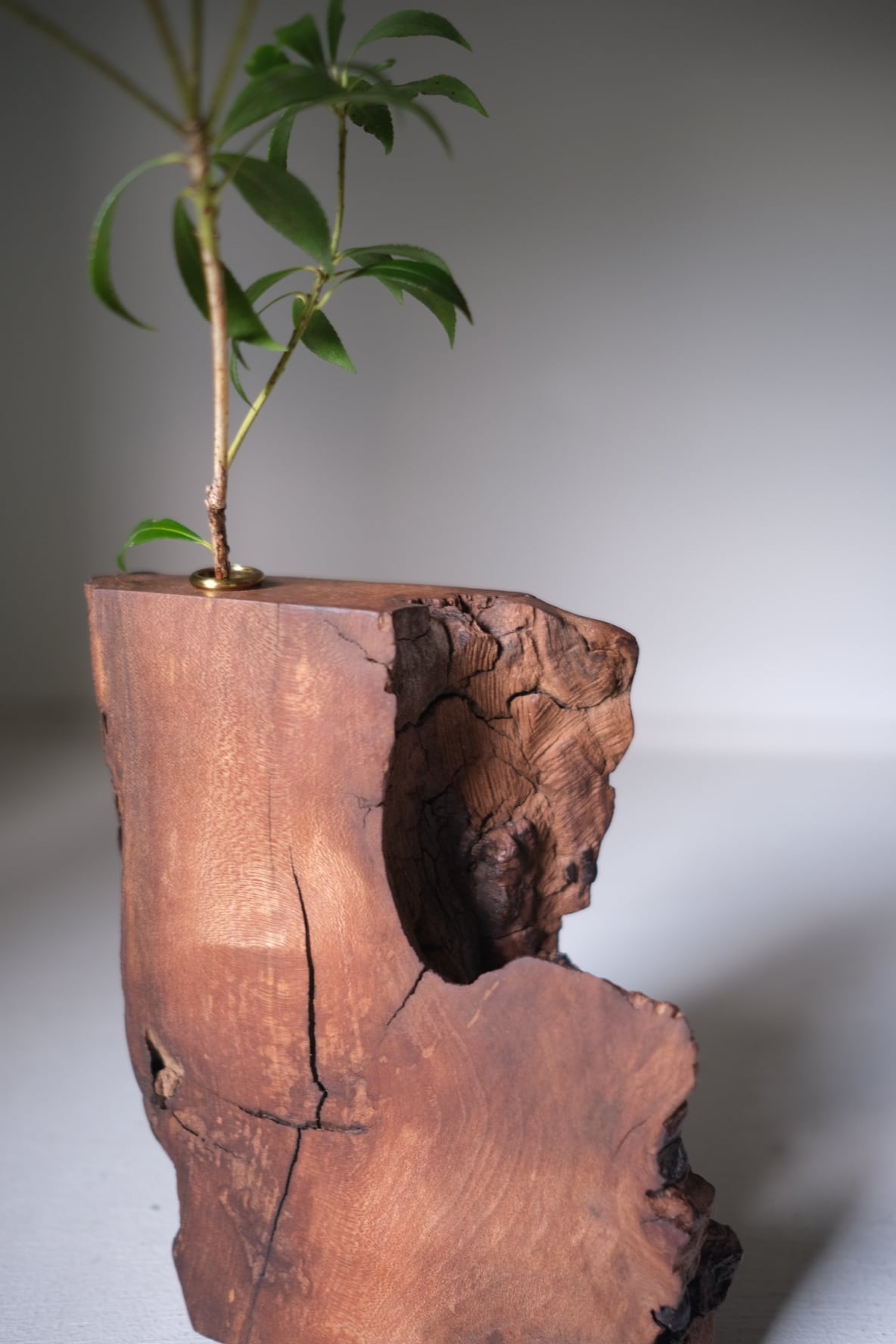 木塊 一輪挿し -桂- | TORINOKI FURNITURE