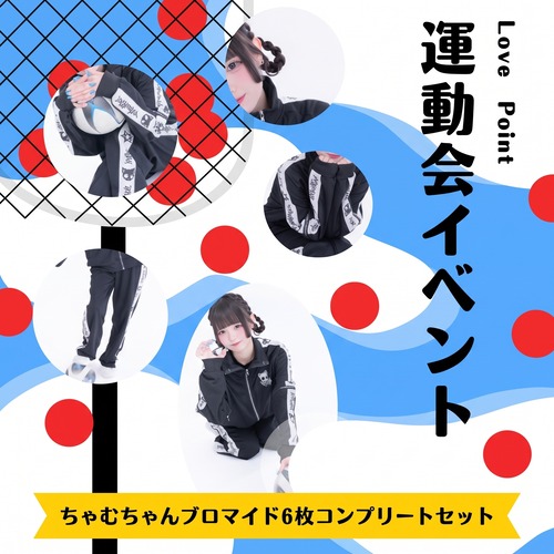 6枚コンプリートセット・ちゃむブロマイド