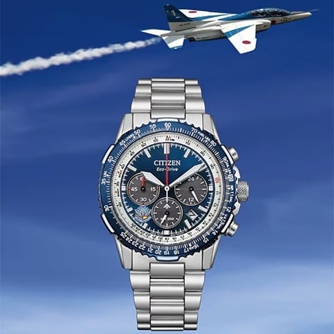 限定品☆CITIZEN シチズン PROMASTER プロマスター SKYシリーズ CA4665