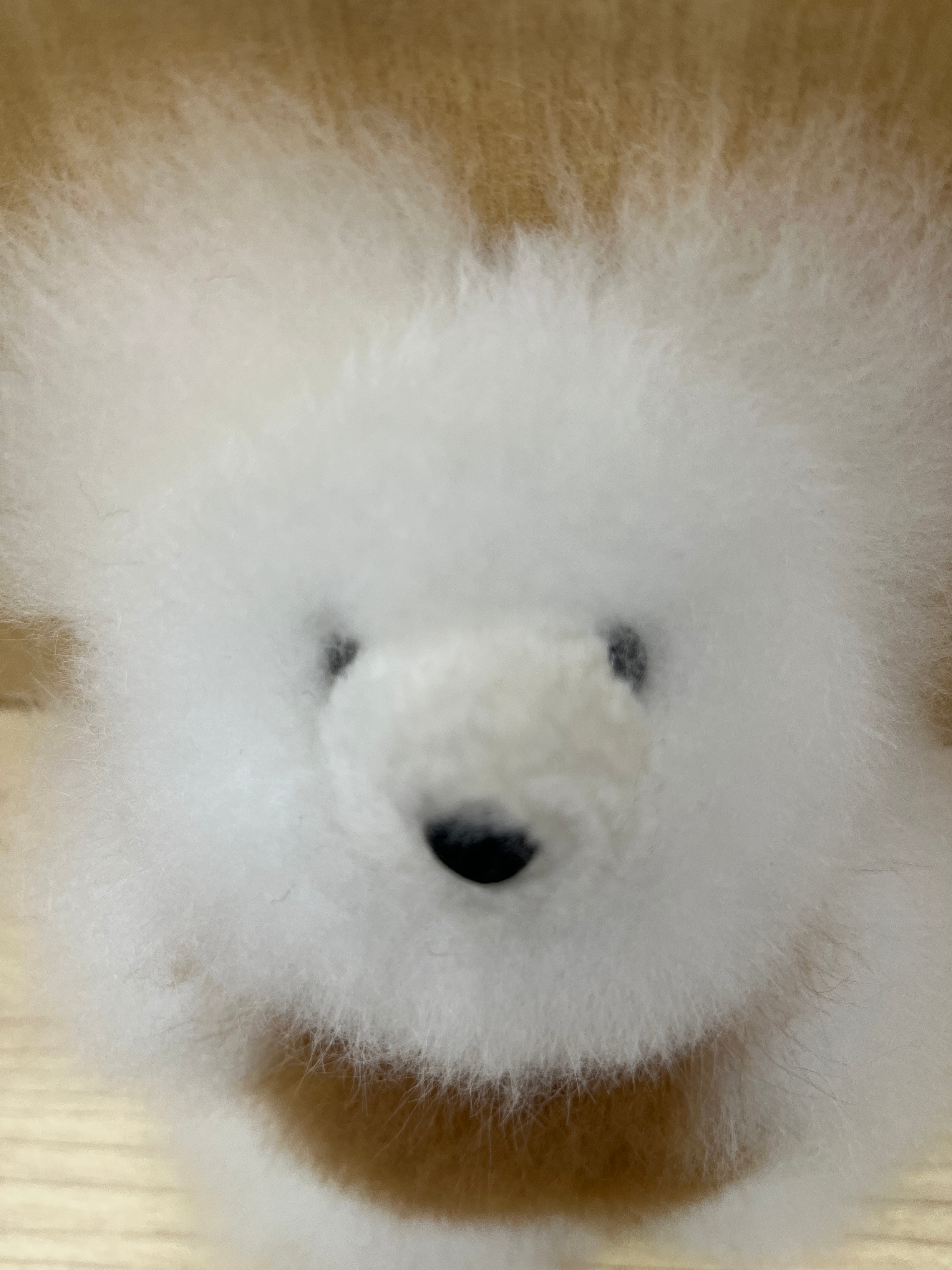 ベビーアルパカ純毛 テディベア 小 WHBR | ALPACA WORLD